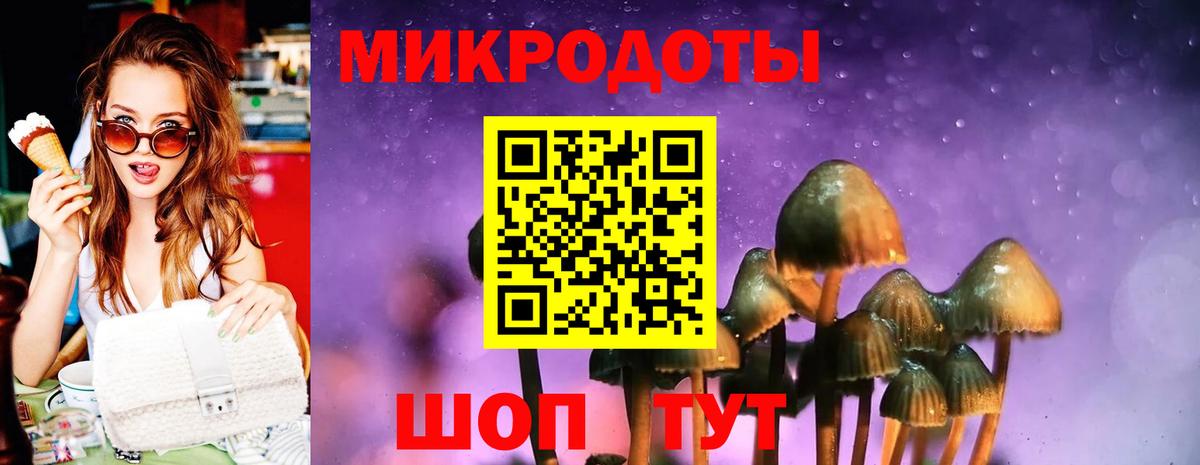 Псилоцибиновые грибы Psilocybe  Галлюциногенные грибы Cubensis  Углич  Вход с VPN 